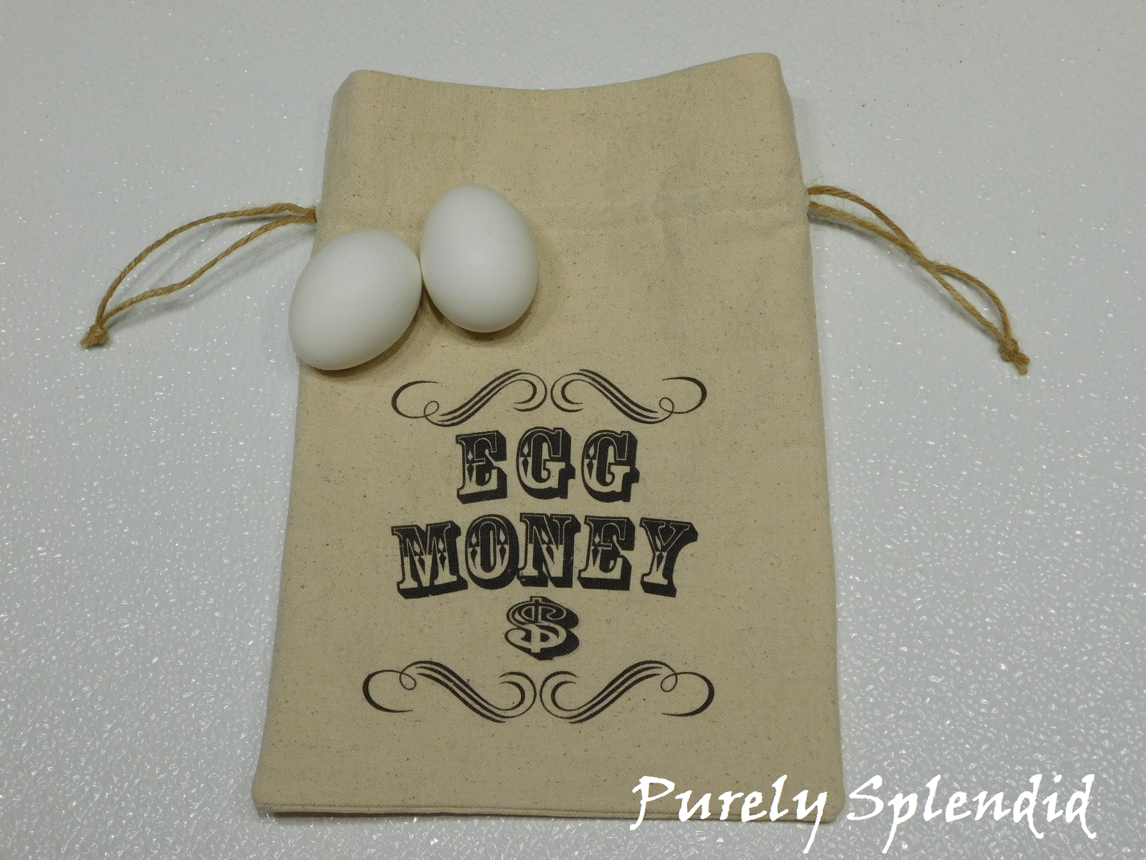Canvas drawstring bag with "Egg Money $" on the front