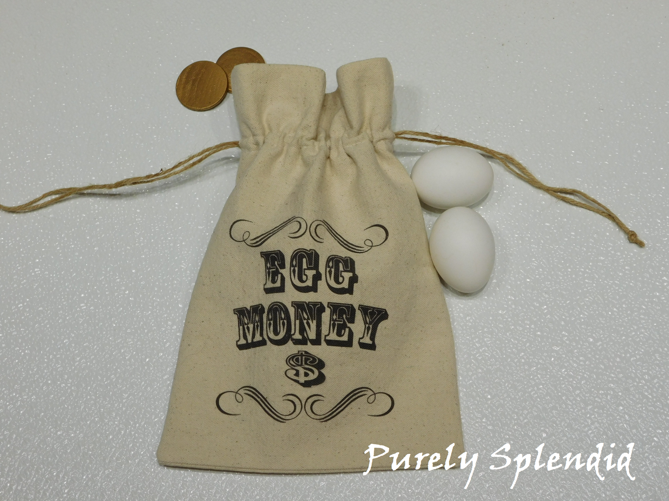 Canvas drawstring bag with "Egg Money $"