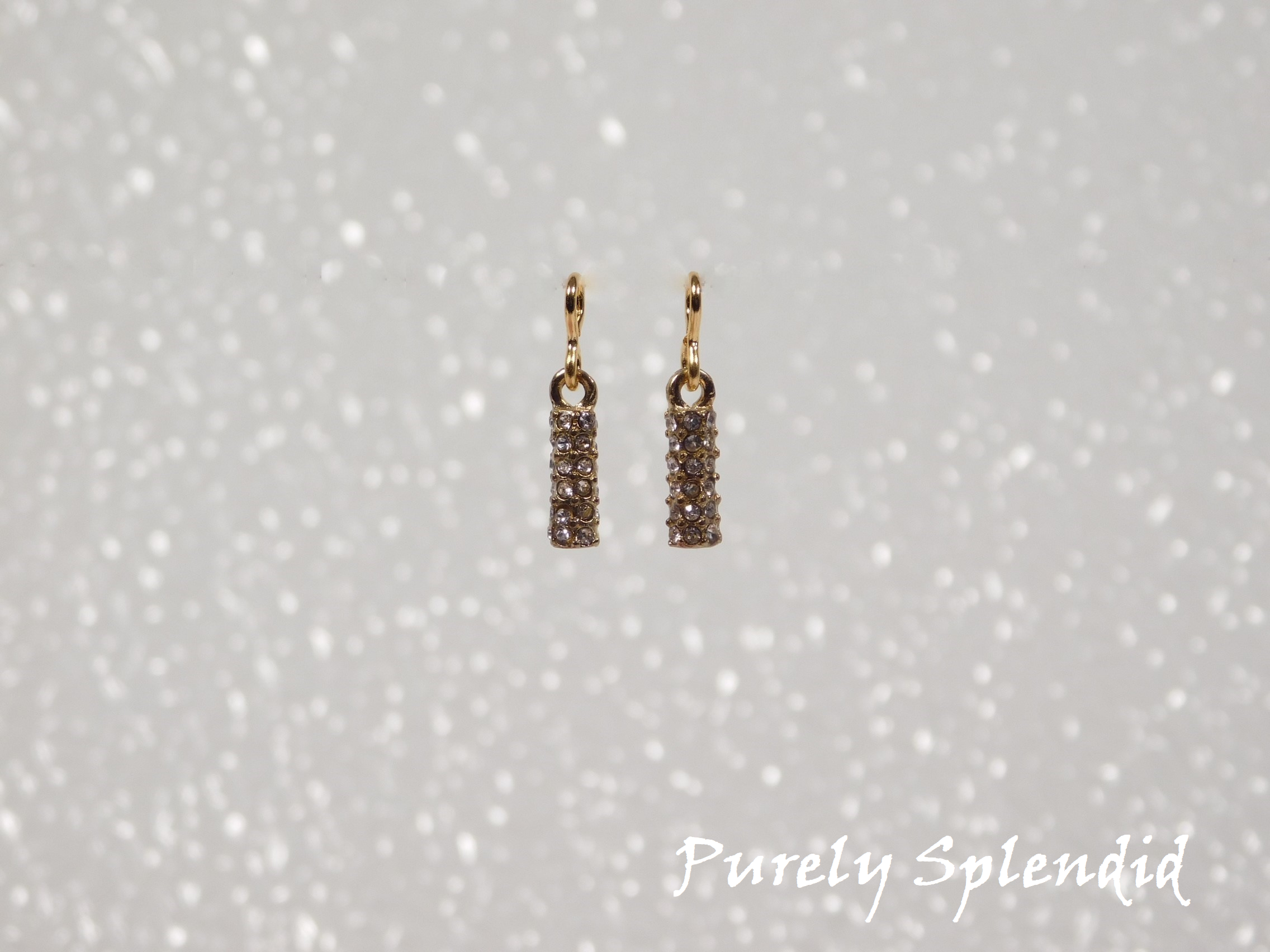 Sparkling Drop Earrings