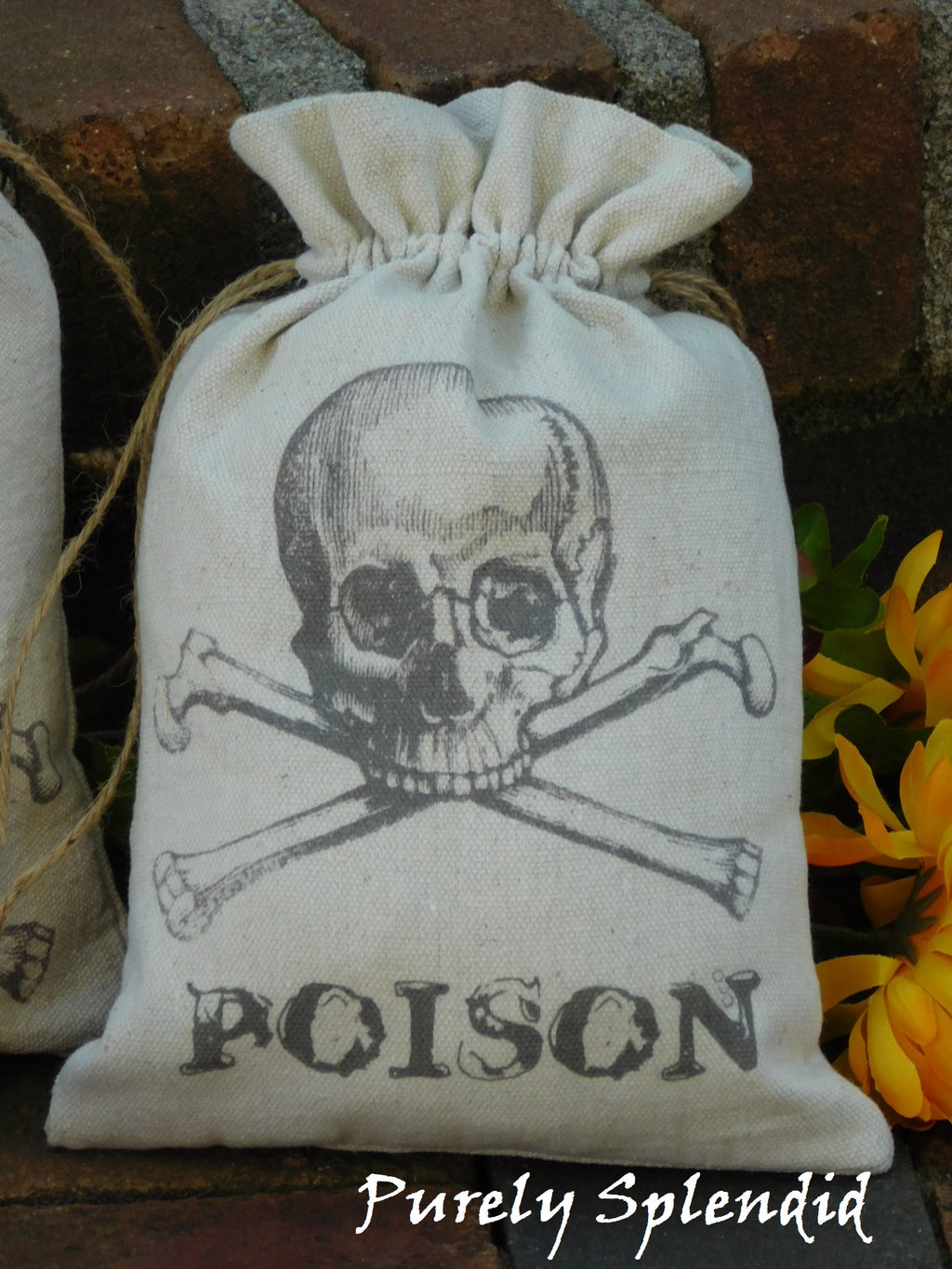 Skull and Crossbones fabric gift bag with the word Poison
