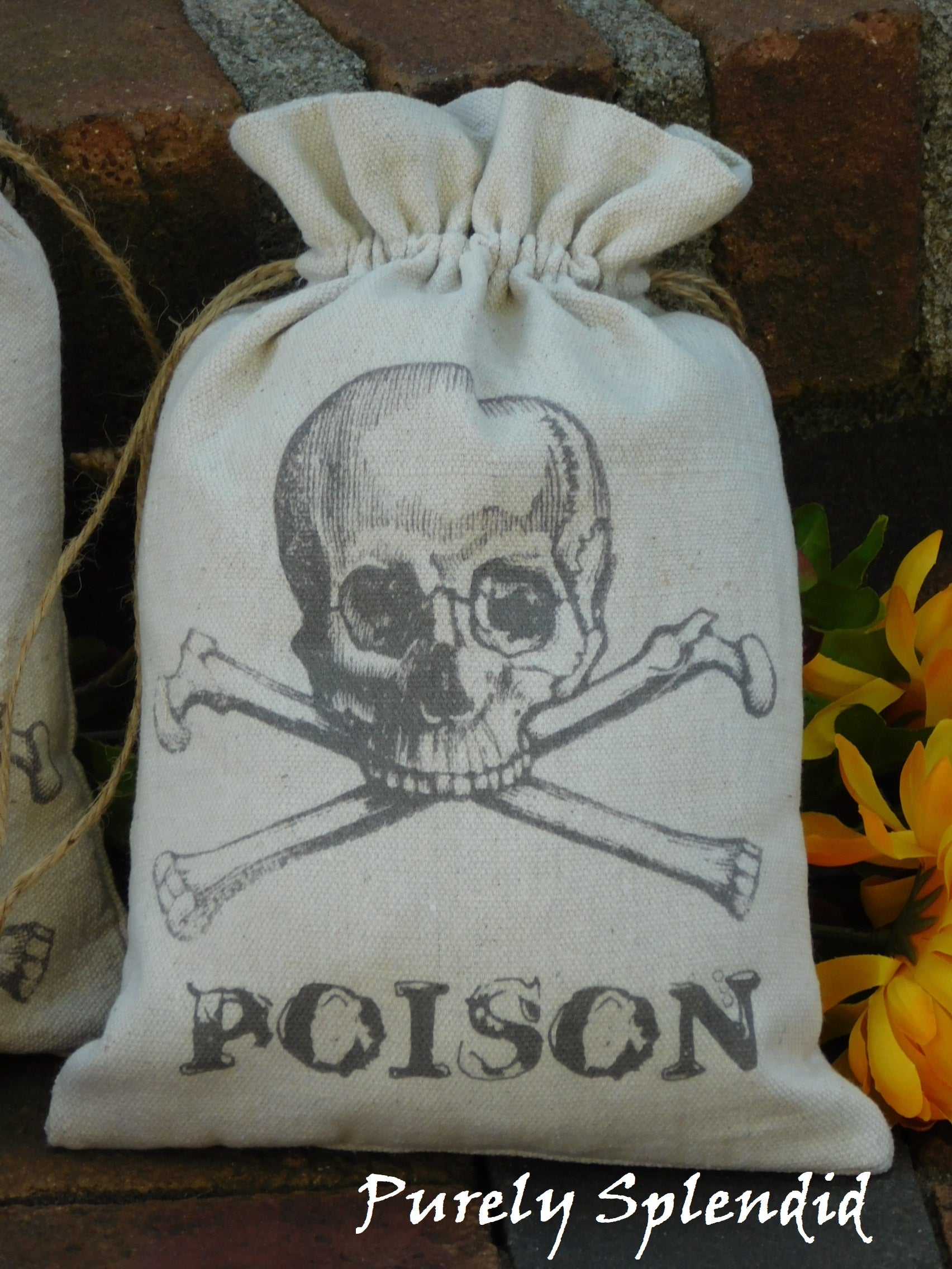 Skull and Crossbones fabric gift bag with the word Poison
